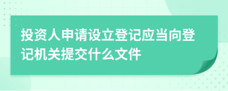 投资人申请设立登记应当向登记机关提交什么文件