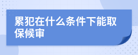 累犯在什么条件下能取保候审