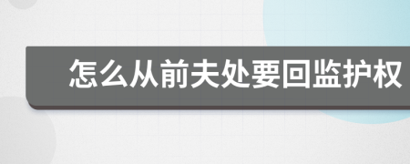 怎么从前夫处要回监护权