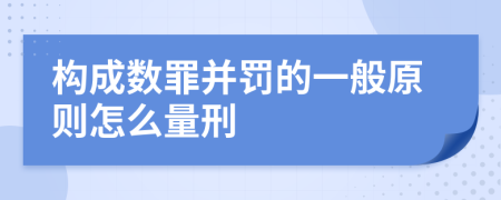 构成数罪并罚的一般原则怎么量刑