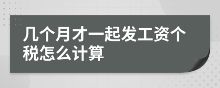 几个月才一起发工资个税怎么计算