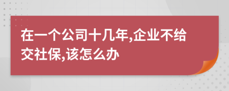 在一个公司十几年,企业不给交社保,该怎么办