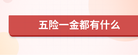 五险一金都有什么