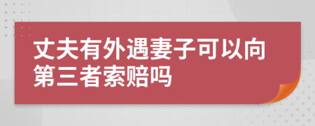 丈夫有外遇妻子可以向第三者索赔吗