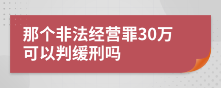 那个非法经营罪30万可以判缓刑吗