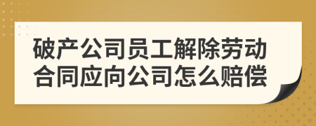 破产公司员工解除劳动合同应向公司怎么赔偿