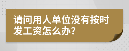 请问用人单位没有按时发工资怎么办？