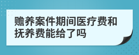 赡养案件期间医疗费和抚养费能给了吗