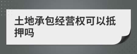 土地承包经营权可以抵押吗