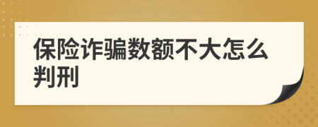 保险诈骗数额不大怎么判刑