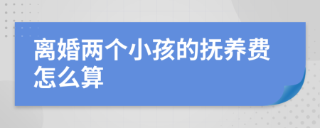 离婚两个小孩的抚养费怎么算