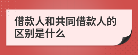 借款人和共同借款人的区别是什么