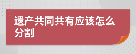 遗产共同共有应该怎么分割