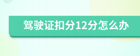 驾驶证扣分12分怎么办