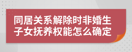 同居关系解除时非婚生子女抚养权能怎么确定