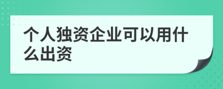 个人独资企业可以用什么出资