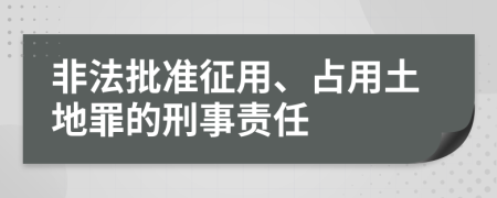 非法批准征用、占用土地罪的刑事责任