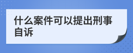 什么案件可以提出刑事自诉