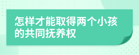 怎样才能取得两个小孩的共同抚养权