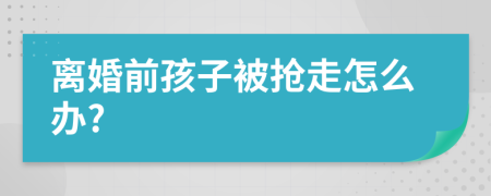 离婚前孩子被抢走怎么办?