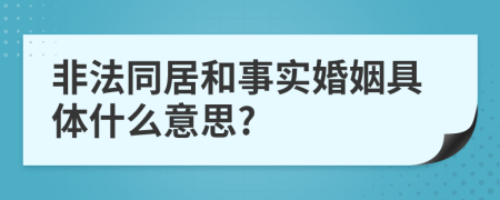 非法同居和事实婚姻具体什么意思?