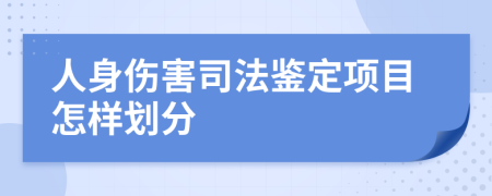 人身伤害司法鉴定项目怎样划分