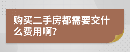 购买二手房都需要交什么费用啊？