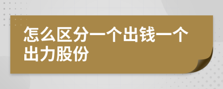 怎么区分一个出钱一个出力股份