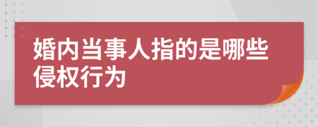 婚内当事人指的是哪些侵权行为