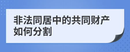 非法同居中的共同财产如何分割