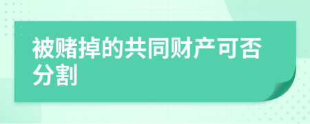 被赌掉的共同财产可否分割