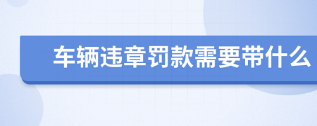 车辆违章罚款需要带什么