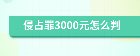 侵占罪3000元怎么判