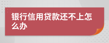 银行信用贷款还不上怎么办