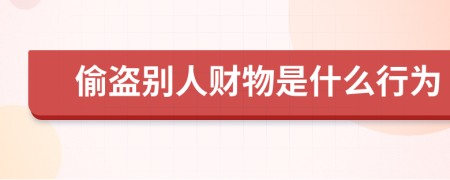偷盗别人财物是什么行为