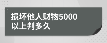 损坏他人财物5000以上判多久