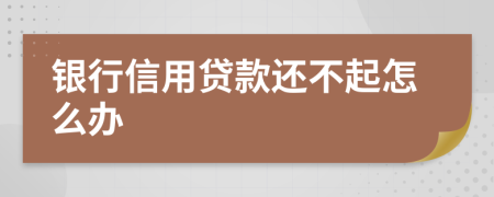 银行信用贷款还不起怎么办