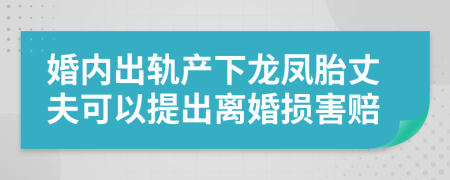 婚内出轨产下龙凤胎丈夫可以提出离婚损害赔