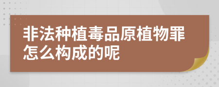 非法种植毒品原植物罪怎么构成的呢