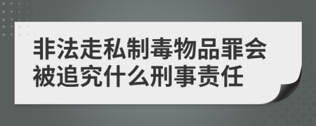 非法走私制毒物品罪会被追究什么刑事责任