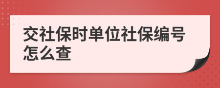 交社保时单位社保编号怎么查