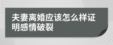 夫妻离婚应该怎么样证明感情破裂