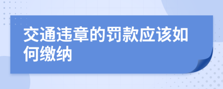 交通违章的罚款应该如何缴纳