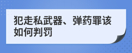 犯走私武器、弹药罪该如何判罚
