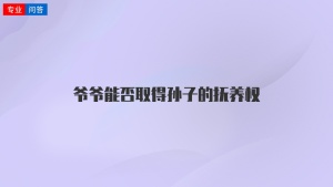 爷爷能否取得孙子的抚养权