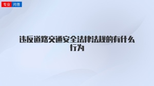 违反道路交通安全法律法规的有什么行为