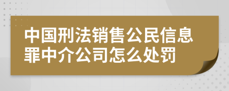 中国刑法销售公民信息罪中介公司怎么处罚