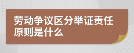 劳动争议区分举证责任原则是什么