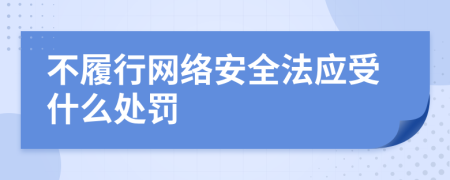 不履行网络安全法应受什么处罚