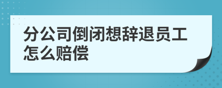 分公司倒闭想辞退员工怎么赔偿